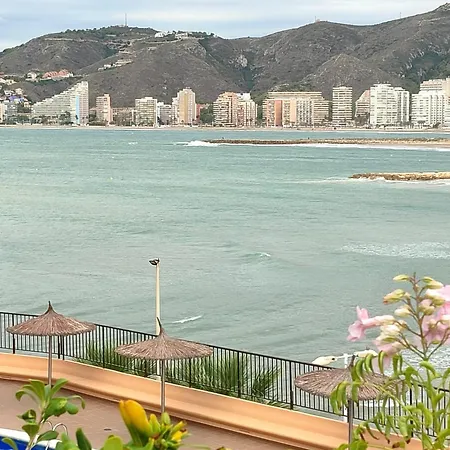 Seaviews Olivos *