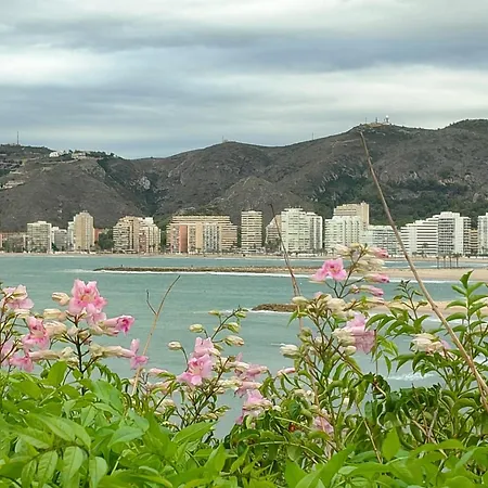 Seaviews Olivos *