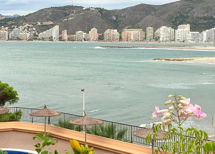 Seaviews Olivos *
