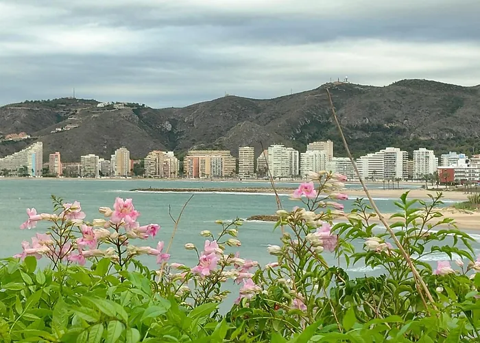 Seaviews Olivos *